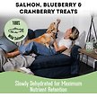 Show in main carousel: The Granville Island Pet Treatery A Smoothie. In a Bag! Premium Dehydrated Salmon, Cranberry, and Blueberry, 80-g bag slide 3 of 8
