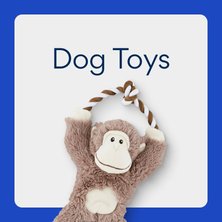 Dog Toys