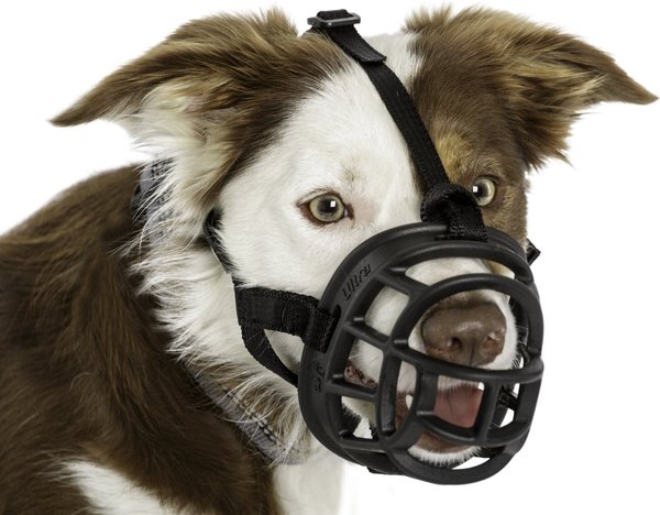 Show full view: Baskerville Ultra Dog Adjustable Basket Muzzle, Black, Size 6 slide 6 of 9