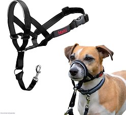Halti Nylon Padded No Pull Dog Headcollar, Black, Size 1