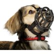 Show in main carousel: Baskerville Ultra Dog Adjustable Basket Muzzle, Black, Size 6 slide 8 of 9