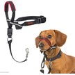 Show in main carousel: Halti OptiFit Nylon Padded No Pull Dog Headcollar, Black, Small slide 1 of 7
