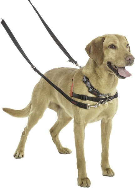 Show full view: Halti Nylon Training Dog Lead, Black, Large slide 8 of 10