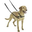 Show in main carousel: Halti Nylon Training Dog Lead, Black, Large slide 8 of 10