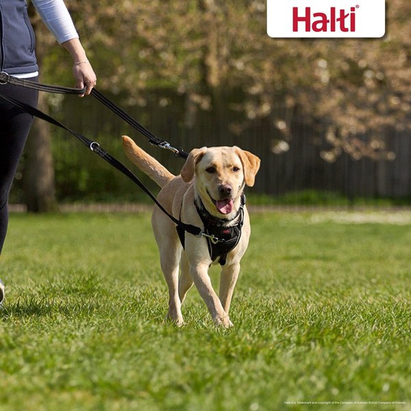 Show full view: Halti Nylon Training Dog Lead, Black, Large slide 5 of 10