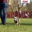 Show in main carousel: Halti Nylon No Pull Dog Harness, Black, Small slide 5 of 7