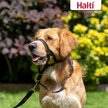 Show in main carousel: Halti Nylon Padded No Pull Dog Headcollar, Black, Size 1 slide 5 of 10