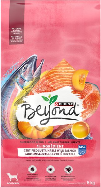 Purina Beyond Superfood Blend Salmon, Egg, and Pumpkin Recipe Dry Dog Food