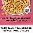 Show in main carousel: Purina Beyond Grain-Free Indoor Cat Wild-Caught Salmon, Egg & Sweet Potato Recipe Dry Cat Food, 1.36-kg bag slide 8 of 10