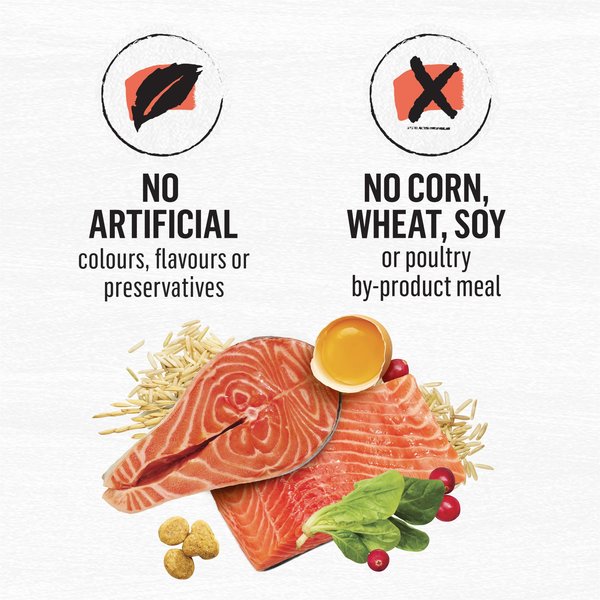 Show full view: Purina Beyond Simply Salmon & Whole Brown Rice Recipe Dry Cat Food, 2.72-kg bag slide 7 of 11