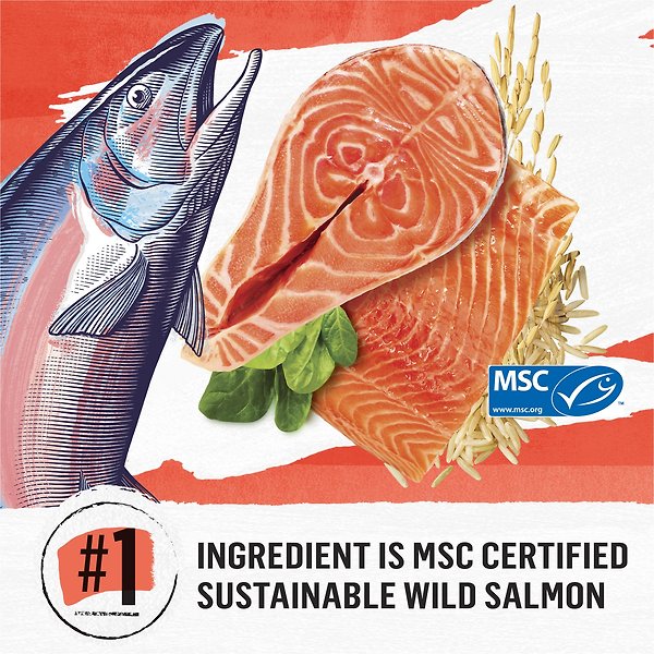 Show full view: Purina Beyond Simply Salmon & Whole Brown Rice Recipe Dry Cat Food, 2.72-kg bag slide 4 of 11