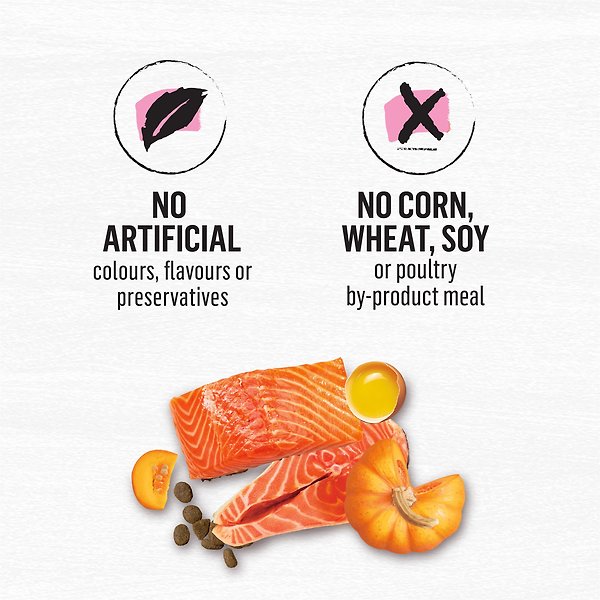 Show full view: Purina Beyond Superfood Blend Wild Caught Salmon, Egg & Pumpkin Recipe Dry Dog Food, 1.67-kg bag slide 7 of 9