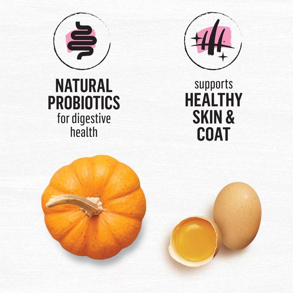 Show full view: Purina Beyond Superfood Blend Wild Caught Salmon, Egg & Pumpkin Recipe Dry Dog Food, 1.67-kg bag slide 5 of 9