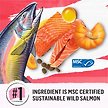 Show in main carousel: Purina Beyond Superfood Blend Wild Caught Salmon, Egg & Pumpkin Recipe Dry Dog Food, 1.67-kg bag slide 4 of 9