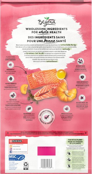 Show full view: Purina Beyond Superfood Blend Wild Caught Salmon, Egg & Pumpkin Recipe Dry Dog Food, 5-kg bag slide 3 of 9