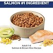 Show in main carousel: Hill's Science Diet Adult Salmon & Brown Rice Recipe Dry Dog Food, 14.97-kg bag slide 4 of 10