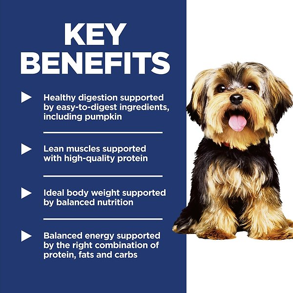Show full view: Hill's Science Diet Adult Small Paws Lamb Meal & Rice Recipe Dry Dog Food, 2.04-kg bag slide 5 of 11