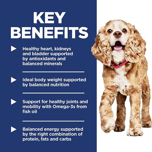 Show full view: Hill's Science Diet Adult 11+ Small Paws Chicken Meal, Barley & Brown Rice Recipe Dry Dog Food, 2.04-kg bag slide 5 of 12