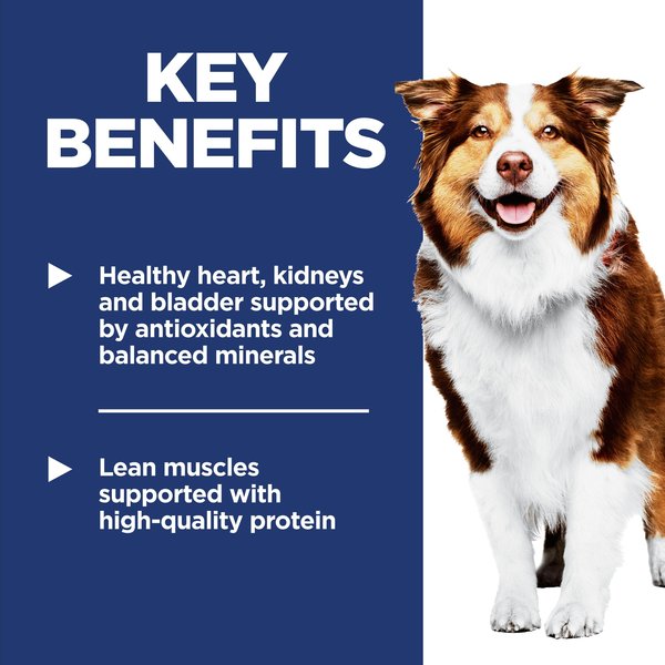 Show full view: Hill's Science Diet Adult 7+ Chicken Meal, Rice & Barley Recipe Dry Dog Food, 14.9-kg bag slide 5 of 12