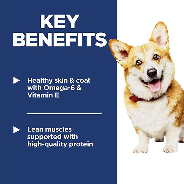 Show full view: Hill's Science Diet Adult Small Bites Chicken & Barley Recipe Dry Dog Food, 2.26-kg bag slide 5 of 12