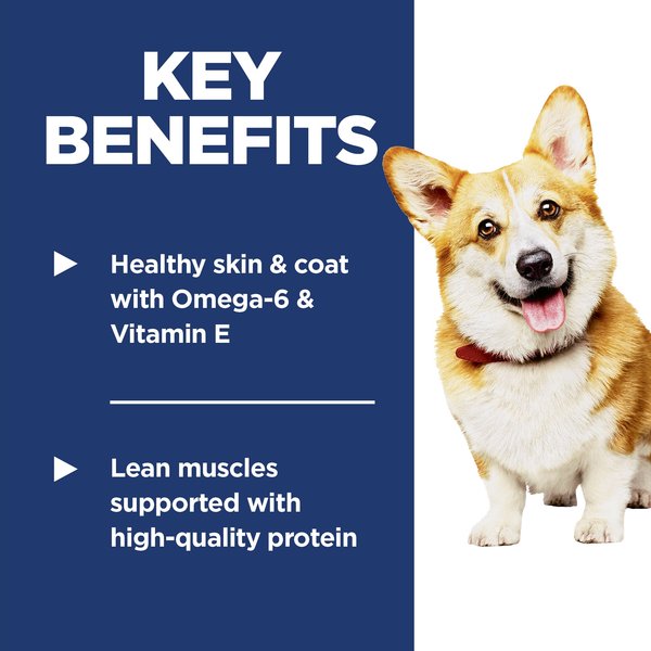 Show full view: Hill's Science Diet Adult Small Bites Lamb Meal & Brown Rice Recipe Dry Dog Food, 7.03-kg bag slide 5 of 12