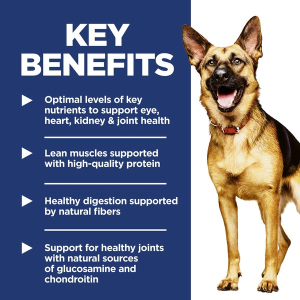 Show full view: Hill's Science Diet Adult 6+ Large Breed Chicken Meal, Barley & Rice Dry Dog Food, 14.9-kg bag slide 5 of 11