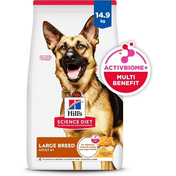 What is the Best Dog Food for Adult Dogs 6+ : Top Healthy Picks