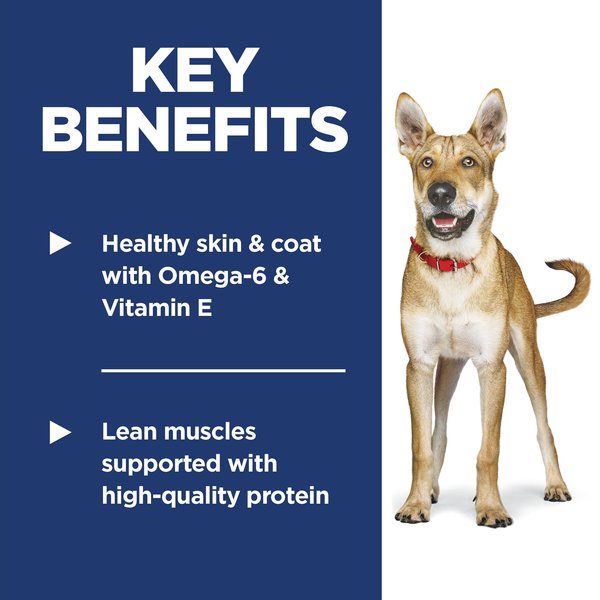 Show full view: Hill's Science Diet Adult Lamb Meal & Brown Rice Recipe Dry Dog Food, 14.9-kg bag slide 5 of 12