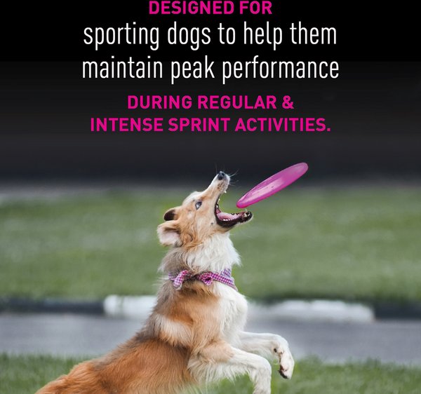 Show full view: Eukanuba Premium Performance 21/13 SPRINT Dry Dog Food, 12.7-kg bag slide 6 of 10