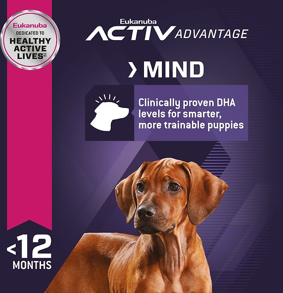 Show full view: Eukanuba Puppy Large Breed Dry Dog Food, 13.61-kg bag slide 5 of 10