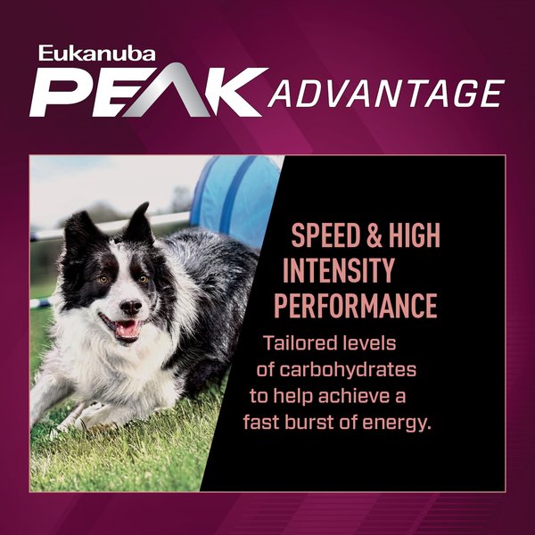 Show full view: Eukanuba Premium Performance 21/13 SPRINT Dry Dog Food, 12.7-kg bag slide 4 of 10