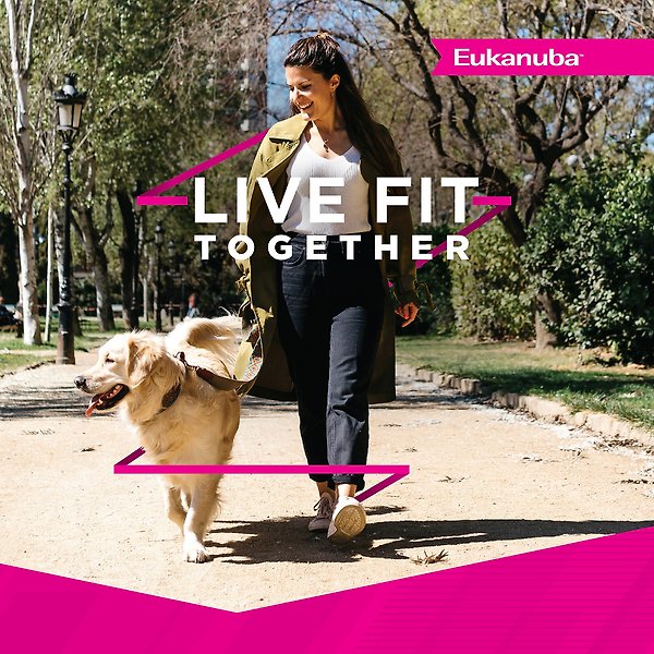 Show full view: Eukanuba Fit Body Weight Control Medium Breed Dry Dog Food, 12.7-kg bag slide 6 of 10