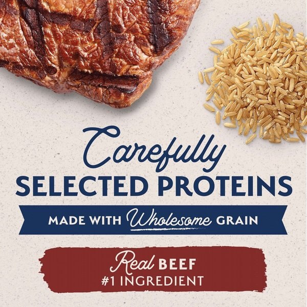 Show full view: Natural Balance Limited Ingredient Beef & Brown Rice Recipe Canned Dog Food, 368-g can, case of 12 slide 5 of 10