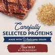 Show in main carousel: Natural Balance Limited Ingredient Beef & Brown Rice Recipe Canned Dog Food, 368-g can, case of 12 slide 5 of 10