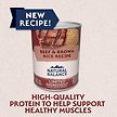 Show in main carousel: Natural Balance Limited Ingredient Beef & Brown Rice Recipe Canned Dog Food, 368-g can, case of 12 slide 2 of 10