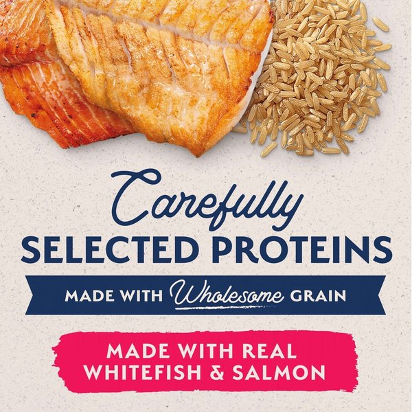 Show full view: Natural Balance Limited Ingredient Whitefish, Rice, & Salmon Recipe Canned Dog, 368-g can, case of 12 slide 5 of 10