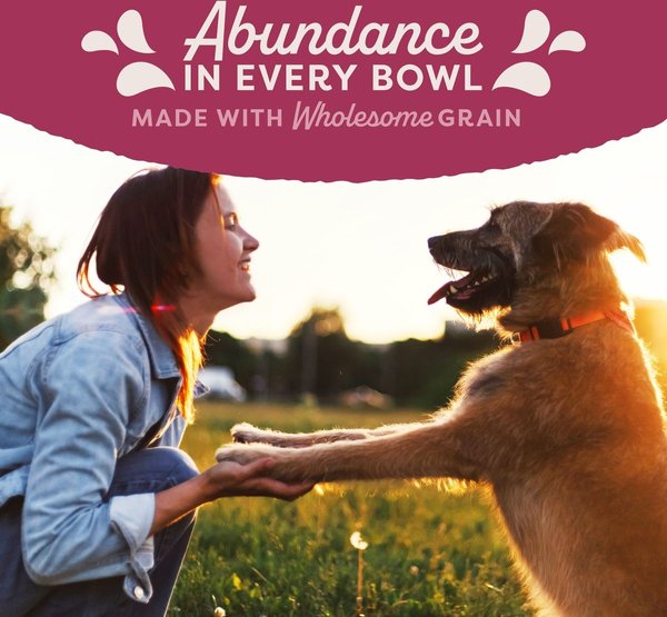 Show full view: Natural Balance Original Ultra Fat Dogs Chicken & Salmon Recipe in Broth Wet Dog Food, 368-g can, case of 12 slide 6 of 10