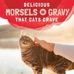 Show in main carousel: Natural Balance Platefulls Salmon, Tuna & Crab Formula in Gravy Grain-Free Cat Food Pouches, 85-g pouch, case of 24 slide 8 of 10