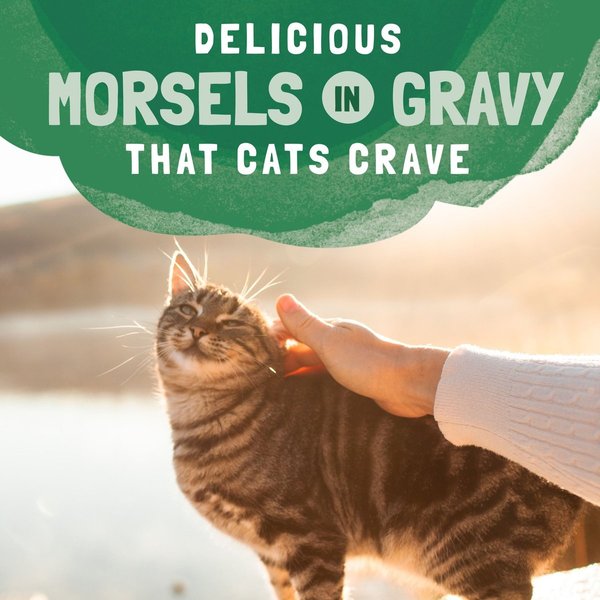 Show full view: Natural Balance Platefulls Chicken & Giblets Formula in Gravy Grain-Free Cat Food Pouches, 85-g pouch, case of 24 slide 8 of 10