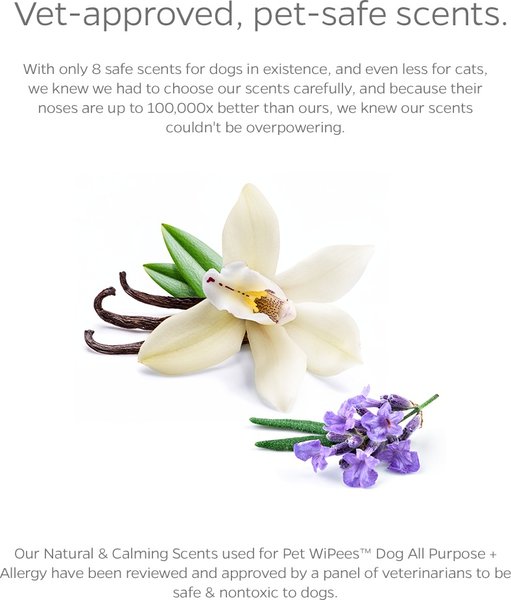 Show full view: Pet Parents Pet WiPees Dog All Purpose Allergy Dog Wipes, 400 count slide 7 of 10