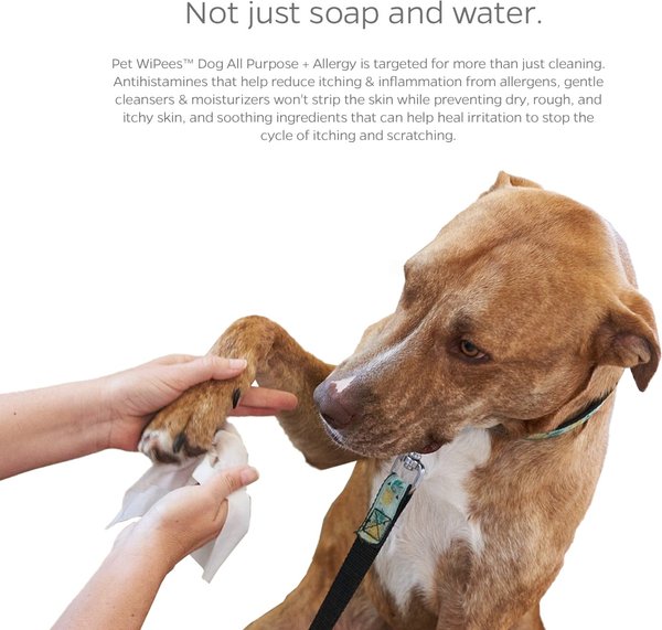 Show full view: Pet Parents Pet WiPees Dog All Purpose Allergy Dog Wipes, 400 count slide 3 of 10