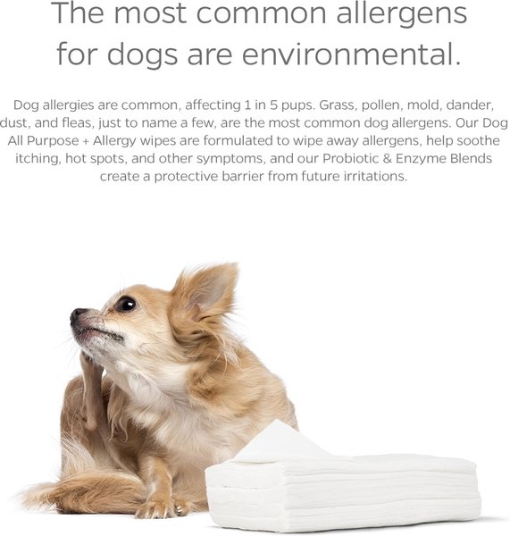 Show full view: Pet Parents Pet WiPees Dog All Purpose Allergy Dog Wipes, 400 count slide 4 of 10