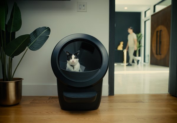 Show full view: Litter-Robot 4 Beginner Bundle, Black slide 4 of 6