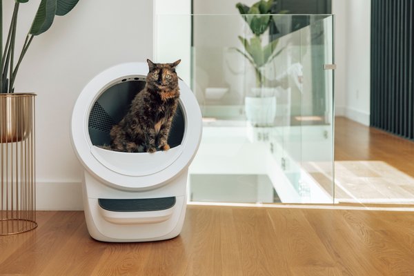 Show full view: Litter-Robot 4 Beginner Bundle, White slide 4 of 5
