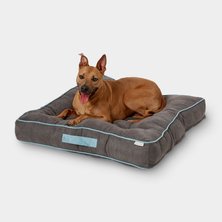 Pillow dog beds