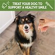 Show in main carousel: WHIMZEES by Wellness Occupy Antler Dental Chews Natural Grain-Free Dental Dog Treats, Small, 24 count slide 7 of 10