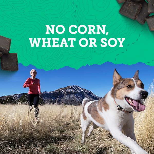 Show full view: Zuke's Hip & Joint Chicken Recipe Soft & Chewy Dog Treats, 170-g bag slide 6 of 10