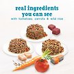 Show in main carousel: Purina Beneful Incredibites Real Chicken & Salmon in Gravy Variety Pack Wet Dog Food, 85-g can, case of 24 slide 7 of 10