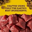 Show in main carousel: Zuke's Mini Naturals Beef Recipe Training Dog Treats, 454-g pouch slide 3 of 10