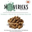 Show in main carousel: Mavericks Freeze-Dried Healthy Gut Support Dog Food Topping, 50-g bag slide 2 of 3